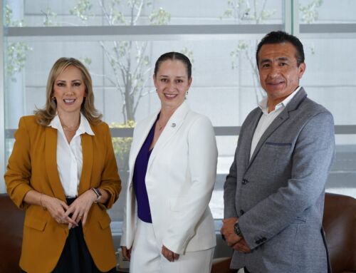 Ana Vigil Osorio, CEO de la AMDM, impulsa el futuro de la industria en entrevista con Industry & Energy Magazine